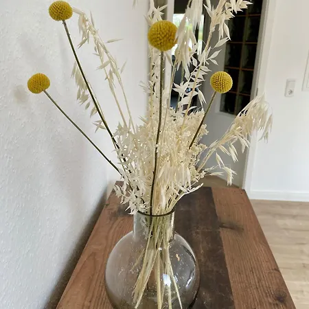 Bright Elzer Strasse Apartment Hildesheim